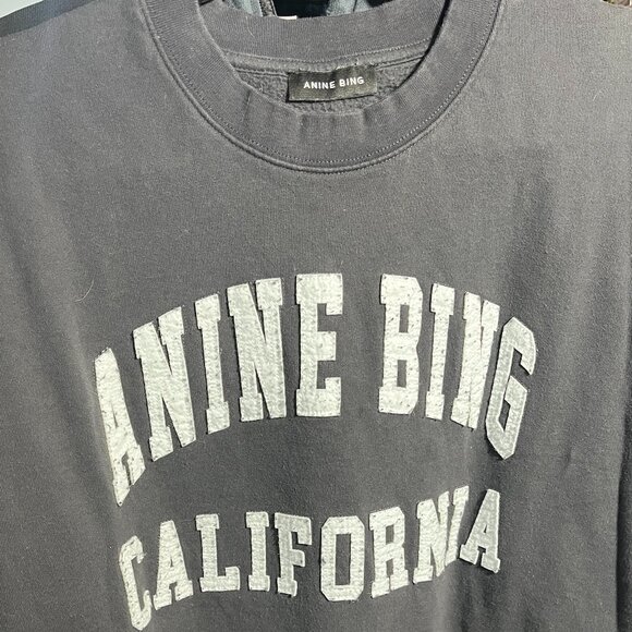 Anine Bing Miles California Sweater - Picture 3 of 3